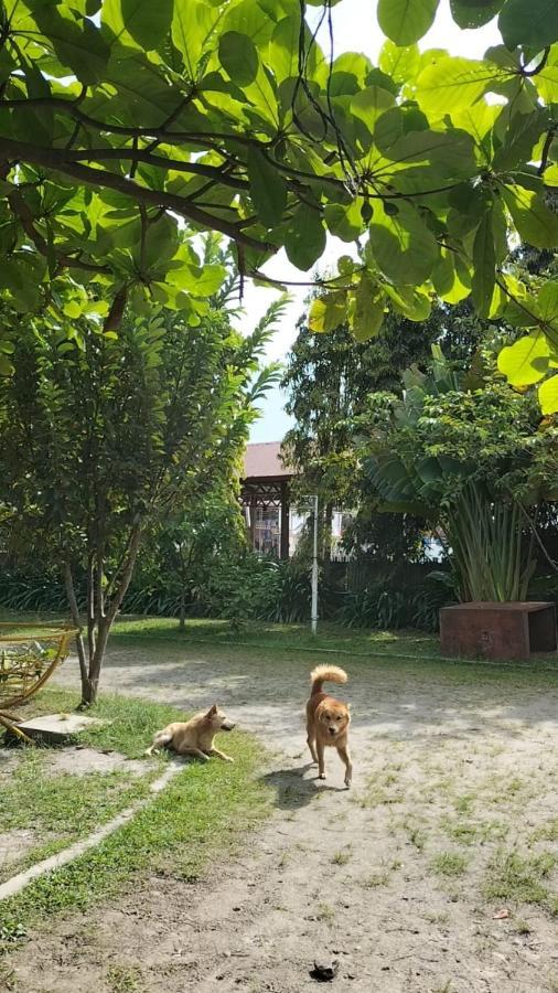 Brussels Homestay 발리게 외부 사진